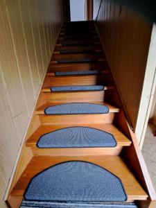 a set of stairs with blue mats on them at Ferienhof Augustenruh in Augustenruh