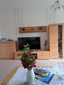 a living room with a television and a vase with a plant at Ferienhof Augustenruh in Augustenruh