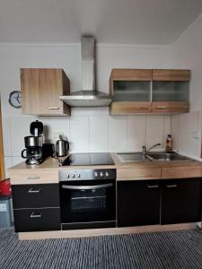 a kitchen with a stove and a sink at Ferienhof Augustenruh in Augustenruh +5 photos