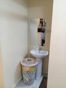 a bathroom with a sink and a toilet and a mirror at BnB Studio Oasis Homes Machakos in Machakos