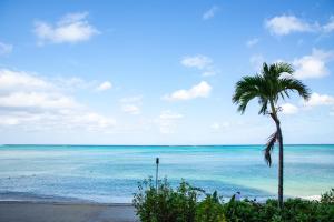 a palm tree on a beach with the ocean at 恩納マリンビューパレス in Onna