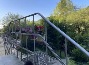 a person walking down a stairway with flowers in a balcony at Waldblick in Neresheim