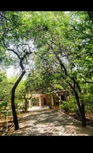 a house with a bunch of trees in front of it at Ananya Eco Resort in Surūrnagar