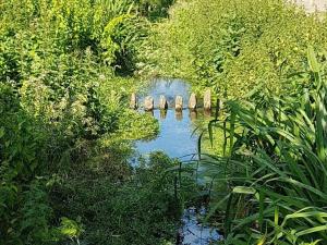 a river with a group of rocks in the water at Streamside Apartments in Yeovil +3 photos