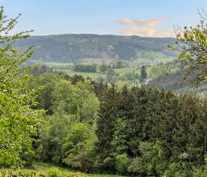 a view of a forest of trees in the distance at Chalet de Cligneval in Malmedy