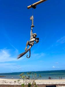 a monkey on a rope swing at the beach at royalnest bnb in Mombasa +1 photo