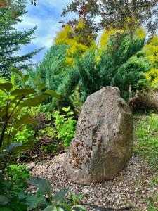 a large rock sitting in the middle of a garden at Meiranu krasts in Bērzgale