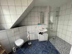 a bathroom with a toilet and a sink at Ferienwohnung Ahrtalfreude in Sinzig