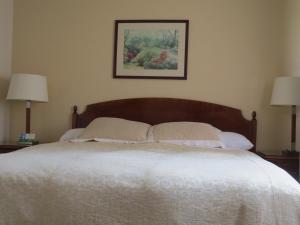 a bed with two pillows and a picture on the wall at Laguna Lodge in Marina