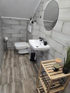 ein Badezimmer mit Waschbecken, Toilette und Spiegel in der Unterkunft Villa Dacha in Niederwurschnitz + 25 Fotos