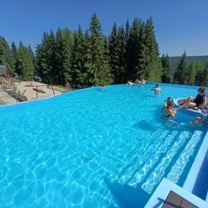 a group of people swimming in a large swimming pool at Sauberghaus Wohnung 3 in Breitenbrunn