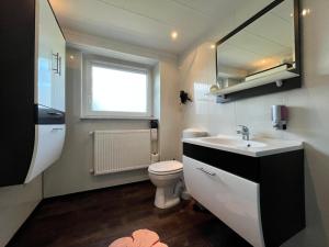 a bathroom with a toilet and a sink and a mirror at Damshagen Küstenkomfort in Damshagen +43 photos