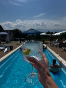 Eine Person hält ein Weinglas vor einem Swimmingpool. in der Unterkunft Casa Sofia Avrig in Avrig