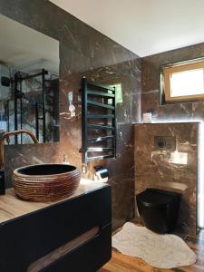 a bathroom with a large sink and a toilet at Tinyhouse ATELIÉR u Těrlické přehrady in Horní Těrlicko +14 photos