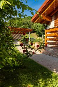 a garden with red roses under a wooden pergola at Villa Diva in Budureasa