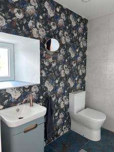 a bathroom with a toilet and a sink at The Hedgerow Kilshanny in Kilshanny +24 photos