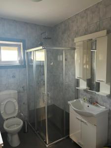 a bathroom with a shower and a toilet and a sink at Sarajevo Villa Oasis in Doglodi +13 photos