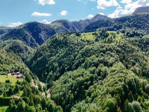an aerial view of a mountain valley with trees at Casa Maia Dambovicioara in Dâmbovicioara