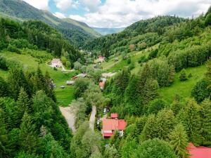 an aerial view of a valley with trees at Casa Maia Dambovicioara in Dâmbovicioara