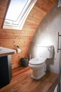 a bathroom with a toilet and a skylight at Daisy in Rhayader
