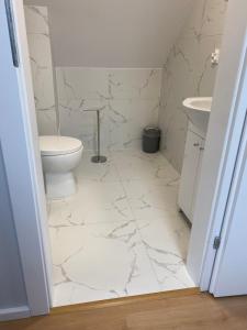 a white bathroom with a toilet and a sink at Biebrzańska Przystań 7 in Goniadz