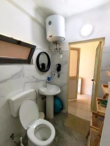 a bathroom with a toilet and a sink at TE Shkodrant 1 in Baks-Rrjoll