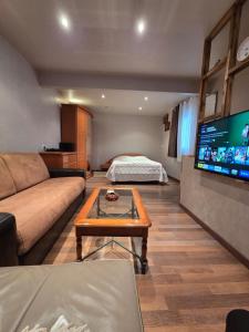 a living room with a couch and a tv at Chez André in Cognac