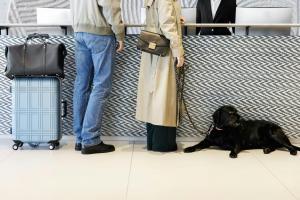 a dog laying on the floor next to two people at The Westin Hamburg Elbphilharmonie in Hamburg