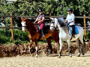 two people riding on horses in an arena at Cortijo Carrillo in Cartaojal