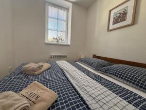 two twin beds in a bedroom with a window at Apartmány Atrium in Litoměřice