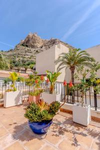 a patio with palm trees and plants inront of a building at Hotel Boutique Porta Ferrisa in Alicante