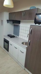 a kitchen with a stove and a sink in it at Gîtes & Chambres d'hôtes Villa La Lorraine in Folkling