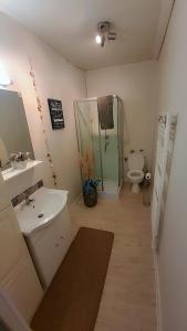 a bathroom with a sink and a toilet and a mirror at Gîtes & Chambres d'hôtes Villa La Lorraine in Folkling