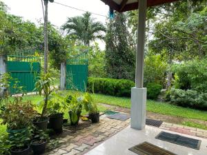 a patio with a bunch of plants in a yard at Green Gardens in Weligama