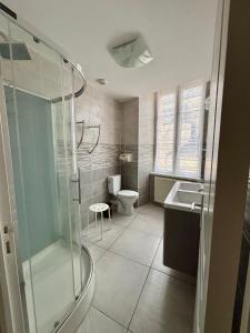 a bathroom with a shower and a toilet and a sink at Le Lion D'or in Ouroux