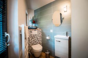 a bathroom with a toilet and a mirror at P'tite Maizoun - Gîte in Hermanville-sur-Mer +12 photos