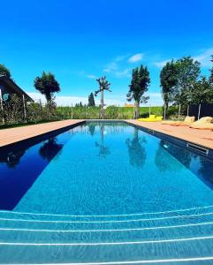 a swimming pool with blue water in a yard at Luxury Lake Cabin in Alphen