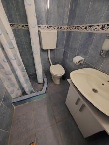a bathroom with a toilet and a sink at Apartman Marinamar in Utjeha