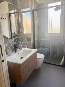 a bathroom with a sink and a toilet and a shower at B&Suite Le Meraviglie in Terrasini
