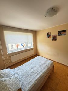 a bedroom with a bed and a window at Joy Haven in Tallinn