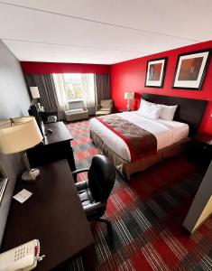 a hotel room with a bed and a desk at Central Albany Room with Breakfast & view in Albany +23 photos