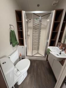 a bathroom with a shower and a toilet and a sink at Skyline in Lossiemouth