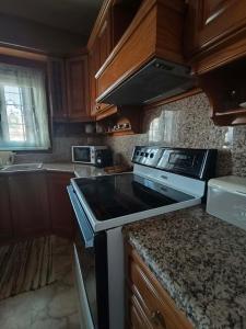 a kitchen with wooden cabinets and a stove top oven at Kalymnos Sea View Villa in Kalymnos