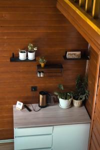 a counter with pots and plants on a wall at Kolsay Lake Cabins in Kurmenty +10 photos