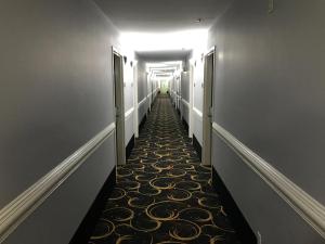 Fotografie z fotogalerie ubytování Express Inn Weslaco/Mercedes v destinaci Weslaco
