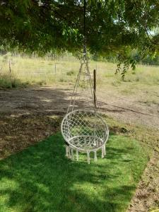 a swing hanging from a tree in the grass at Le pavillon in Aubignan +2 photos
