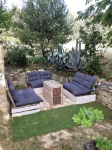 a backyard with three blue couches and a cactus at Le pavillon in Aubignan