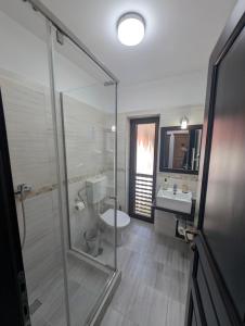a bathroom with a shower and a toilet and a sink at Mateo Transalpina in Săsciori +54 photos