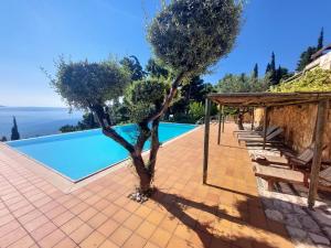 a villa with a swimming pool and two trees at Villa Lemóni - Villa by the sea with swimming pool and amazing view in Xiropigado