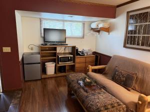a living room with a couch and a flat screen tv at Sunnyside Knoll- 3 studio in Estes Park